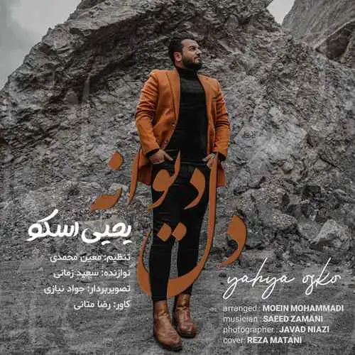 دل دیوانه